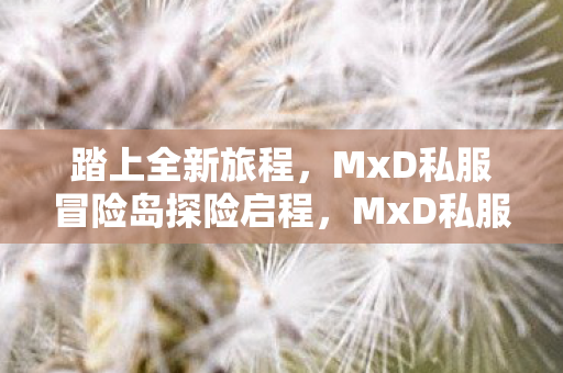 踏上全新旅程，MxD私服冒险岛探险启程，MxD私服冒险岛，全新旅程启程
