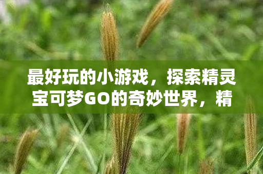 最好玩的小游戏，探索精灵宝可梦GO的奇妙世界，精灵宝可梦GO，探索奇妙世界，体验最好玩的小游戏