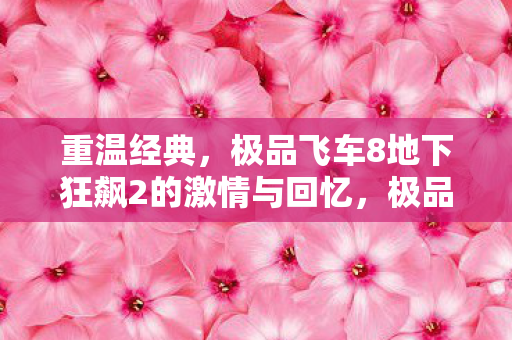 极品飞车8地下狂飙2的激情与回忆图片