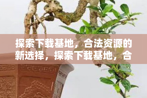 探索下载基地，合法资源的新选择，探索下载基地，合法资源的新选择