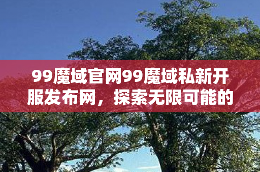 99魔域官网99魔域私新开服发布网图片