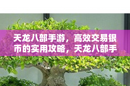 天龙八部手游高效交易银币攻略图片
