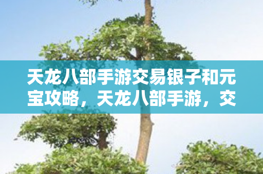 天龙八部手游交易银子和元宝攻略图片