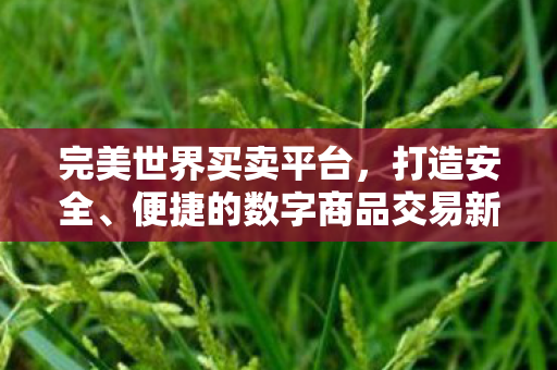完美世界买卖平台，打造安全、便捷的数字商品交易新体验，完美世界买卖平台，重塑数字商品交易新体验