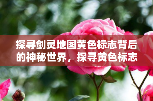 探寻剑灵地图黄色标志背后的神秘世界图片
