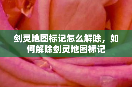 剑灵地图标记怎么解除图片
