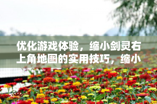 缩小剑灵右上角地图的实用技巧图片