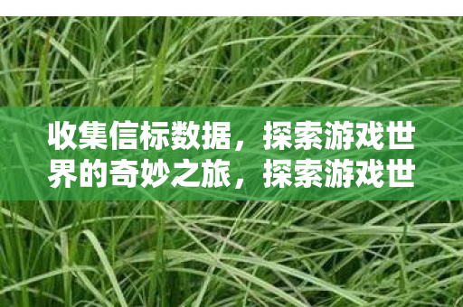收集信标数据，探索游戏世界的奇妙之旅，探索游戏世界的奇妙之旅，收集信标数据