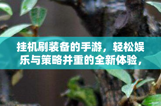挂机刷装备的手游,轻松娱乐与策略并重的全新体验,挂机刷装备手游,轻松娱乐与策略并重的全新体验 挂机刷装备的手游,轻松娱乐与策略并重的全新体验,挂机刷装备手游,轻松娱乐与策略并重的全新体验