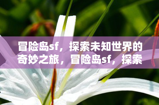 探索未知世界的奇妙之旅图片
