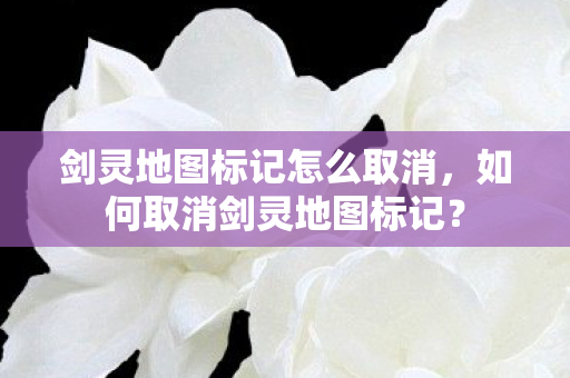 剑灵地图标记怎么取消图片