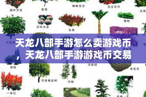 天龙八部手游游戏币交易攻略图片