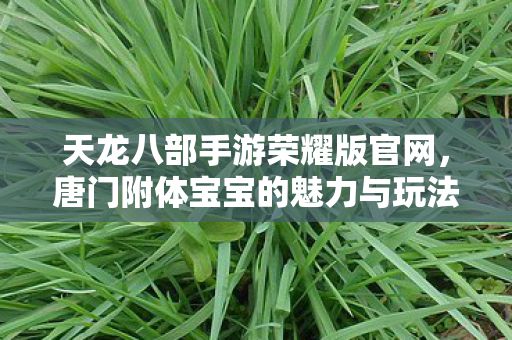 天龙八部手游荣耀版唐门附体宝宝图片