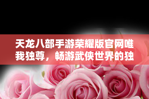 天龙八部手游荣耀版官网唯我独尊图片