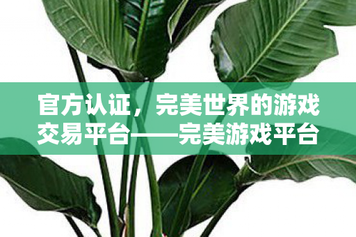 官方认证，完美世界的游戏交易平台——完美游戏平台，完美游戏平台，官方认证的游戏交易平台