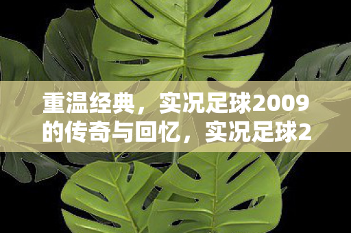 实况足球2009的传奇与回忆图片