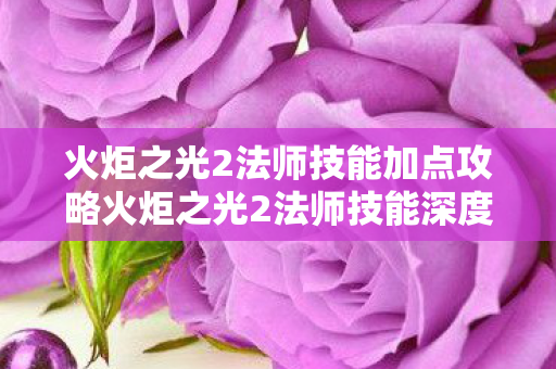 火炬之光2法师技能加点攻略火炬之光2法师技能深度解析，掌握元素之力，火炬之光2法师技能加点与元素之力解析