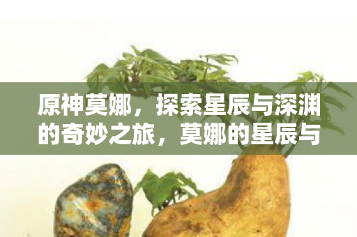 原神莫娜，探索星辰与深渊的奇妙之旅，莫娜的星辰与深渊之旅，原神中的奇妙探险