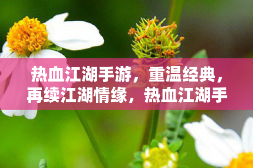 热血江湖手游图片