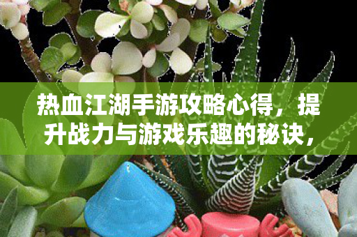 提升战力与游戏乐趣的秘诀图片