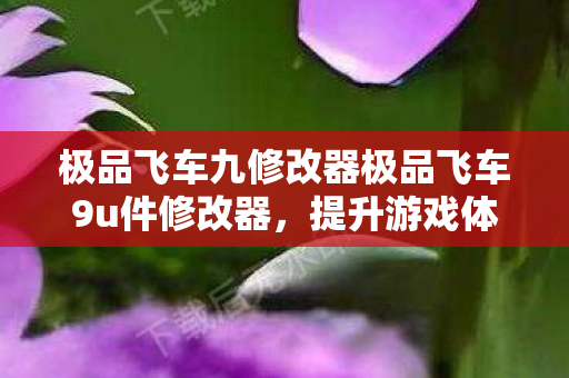 极品飞车九修改器极品飞车9u件修改器，提升游戏体验的必备神器，极品飞车9u件修改器，提升游戏体验的必备神器