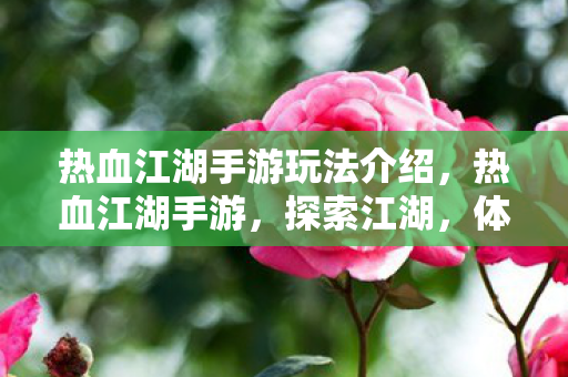 热血江湖手游玩法介绍图片