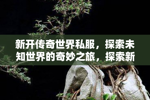 探索未知世界的奇妙之旅图片