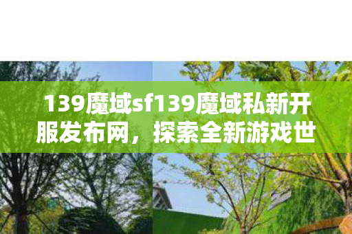 139魔域sf139魔域私新开服发布网图片