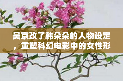吴京改了韩朵朵的人物设定,重塑科幻电影中的女性形象,吴京重塑科幻电影女性形象,韩朵朵人物设定大改 吴京改了韩朵朵的人物设定,重塑科幻电影中的女性形象,吴京重塑科幻电影女性形象,韩朵朵人物设定大改