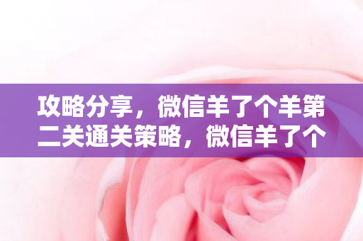 攻略分享，微信羊了个羊第二关通关策略，微信羊了个羊第二关通关攻略，解锁你的策略思维