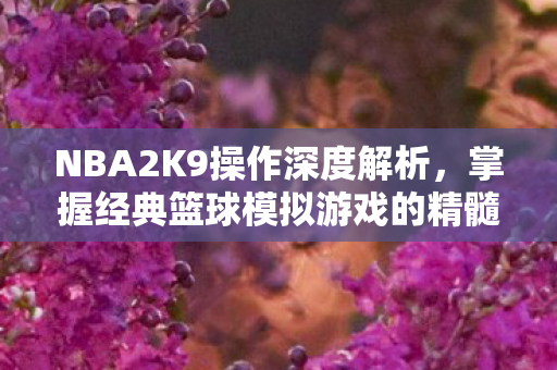 NBA2K9操作深度解析，掌握经典篮球模拟游戏的精髓，NBA2K9，掌握经典篮球模拟游戏操作精髓