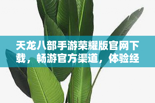 天龙八部手游荣耀版官网下载图片