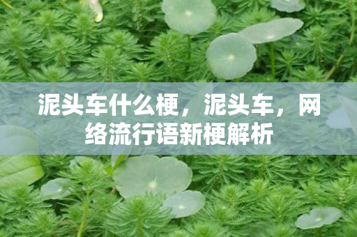 泥头车什么梗,泥头车,网络流行语新梗解析 泥头车什么梗,泥头车,网络流行语新梗解析