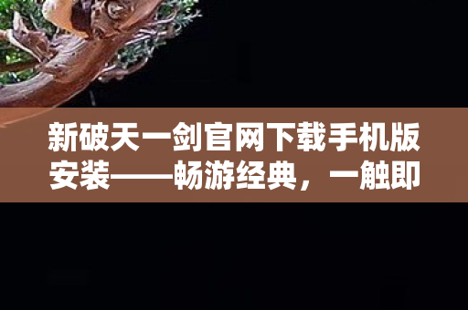 新破天一剑官网下载手机版安装图片