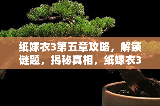 纸嫁衣3第五章攻略，解锁谜题，揭秘真相，纸嫁衣3第五章，解锁谜题，揭秘真相