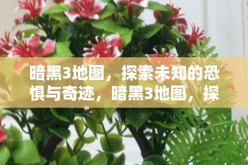 暗黑3地图，探索未知的恐惧与奇迹，暗黑3地图，探索恐惧与奇迹的未知领域