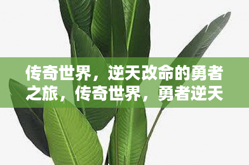 传奇世界，逆天改命的勇者之旅，传奇世界，勇者逆天改命之旅