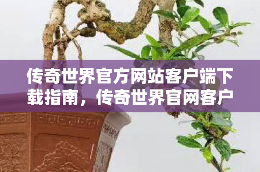 传奇世界官方网站客户端下载指南图片