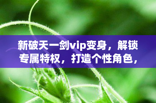 新破天一剑vip变身，解锁专属特权，打造个性角色，新破天一剑VIP变身解锁特权，打造个性角色