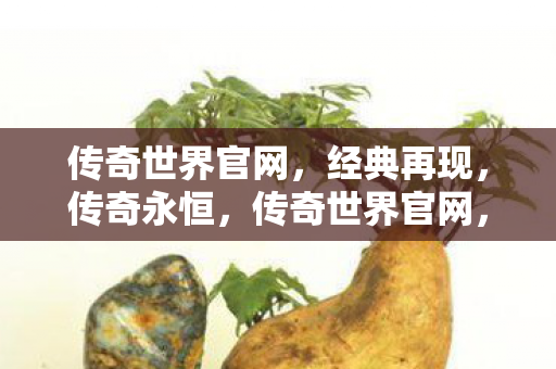 传奇世界官网图片