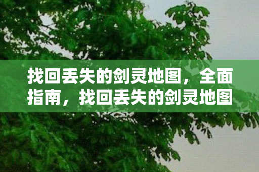 找回丢失的剑灵地图图片