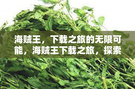 海贼王,下载之旅的无限可能,海贼王下载之旅,探索无限可能的冒险之旅 海贼王,下载之旅的无限可能,海贼王下载之旅,探索无限可能的冒险之旅