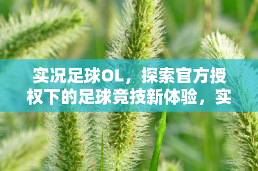实况足球OL,探索官方授权下的足球竞技新体验,实况足球OL,官方授权下的足球竞技新体验 实况足球OL,探索官方授权下的足球竞技新体验,实况足球OL,官方授权下的足球竞技新体验