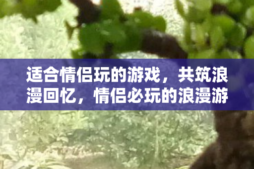 适合情侣玩的游戏，共筑浪漫回忆，情侣必玩的浪漫游戏，共筑甜蜜回忆