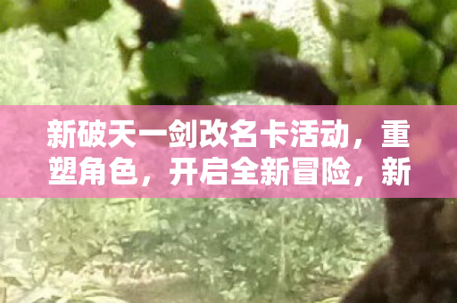 新破天一剑改名卡活动，重塑角色，开启全新冒险，新破天一剑改名卡活动，重塑角色，开启全新冒险之旅
