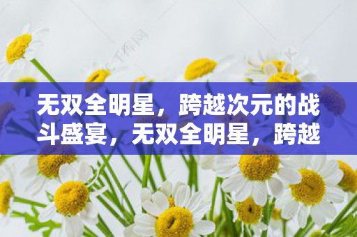 无双全明星,跨越次元的战斗盛宴,无双全明星,跨越次元的战斗盛宴 无双全明星,跨越次元的战斗盛宴,无双全明星,跨越次元的战斗盛宴
