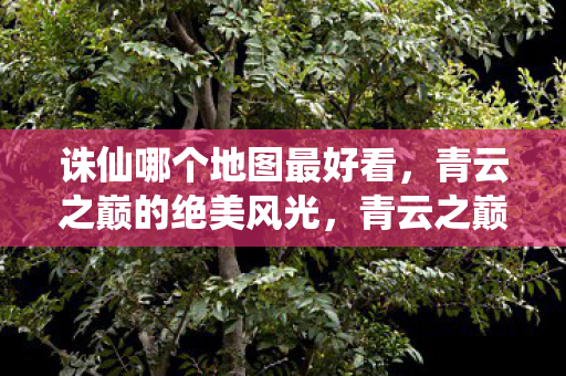 诛仙哪个地图最好看，青云之巅的绝美风光，青云之巅，诛仙中最美的地图风光