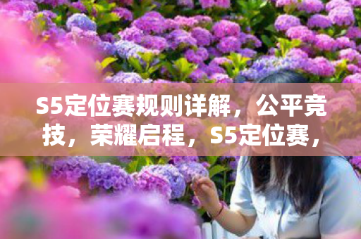 S5定位赛规则详解，公平竞技，荣耀启程，S5定位赛，公平竞技，荣耀启程