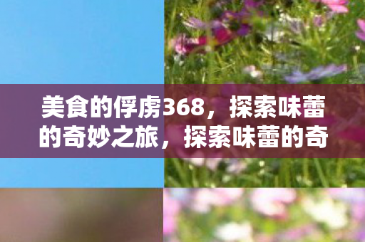 美食的俘虏368，探索味蕾的奇妙之旅，探索味蕾的奇妙之旅，美食的俘虏368
