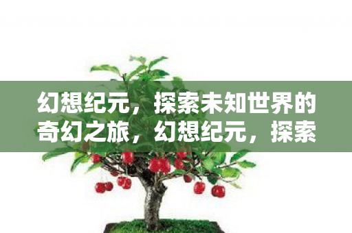 幻想纪元，探索未知世界的奇幻之旅，幻想纪元，探索未知世界的奇幻之旅